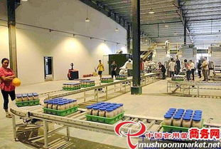 河北光明食品集團臨西縣食用菌工廠化建設項目圓滿竣工，助力現代農業發展